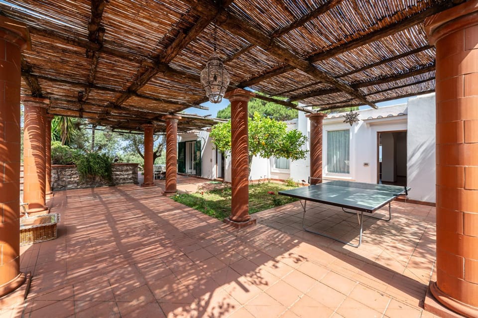 Patio, Day