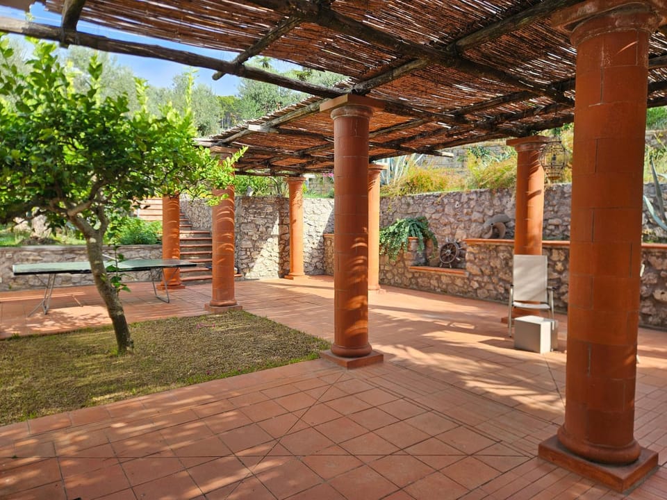Patio, Day, Garden, Garden view