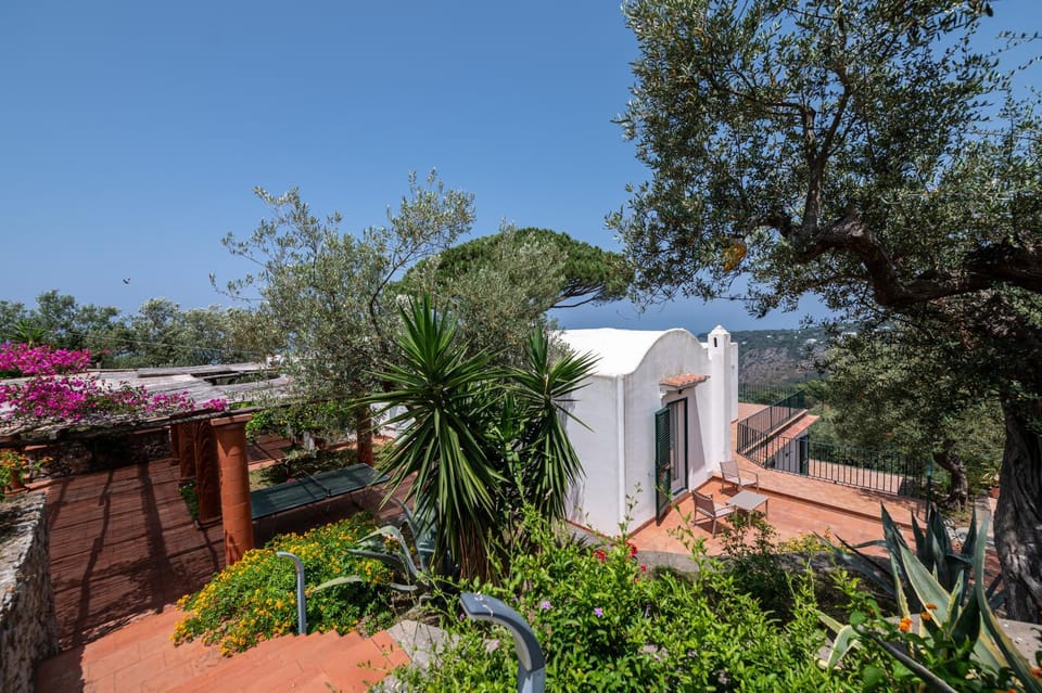 Property building, Day, Natural landscape, Garden, Garden view