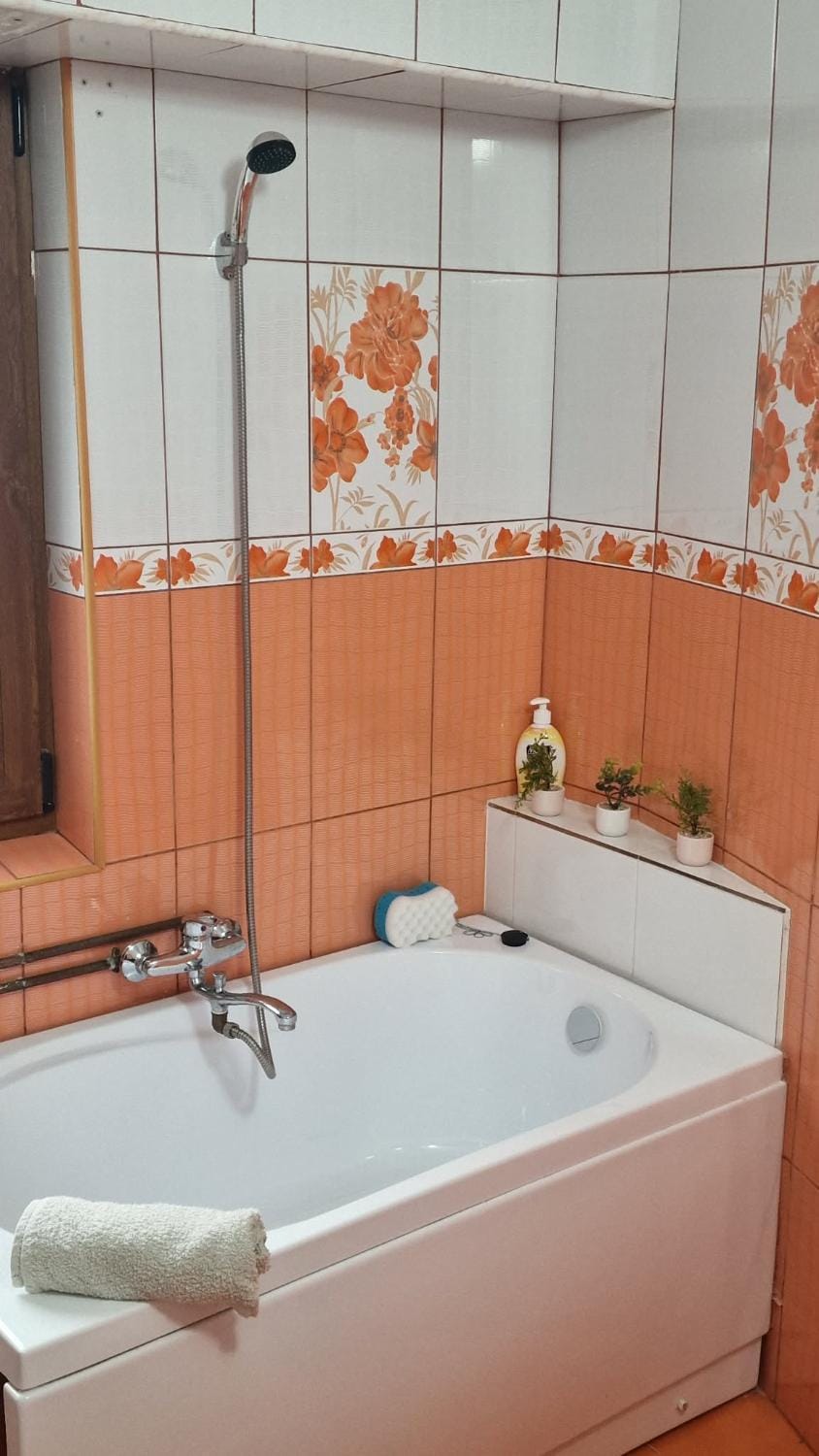 Gabriela Studio Apartment in Romania