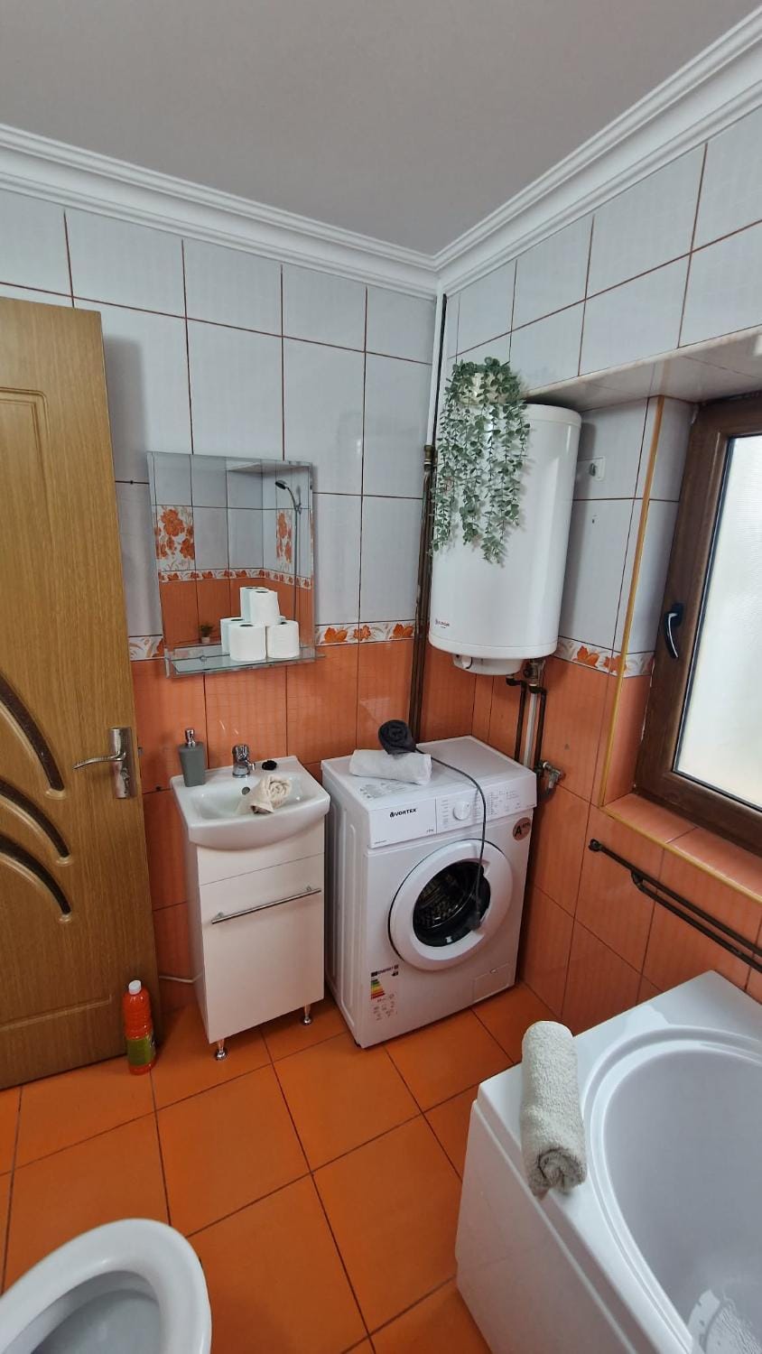 Gabriela Studio Apartment in Romania