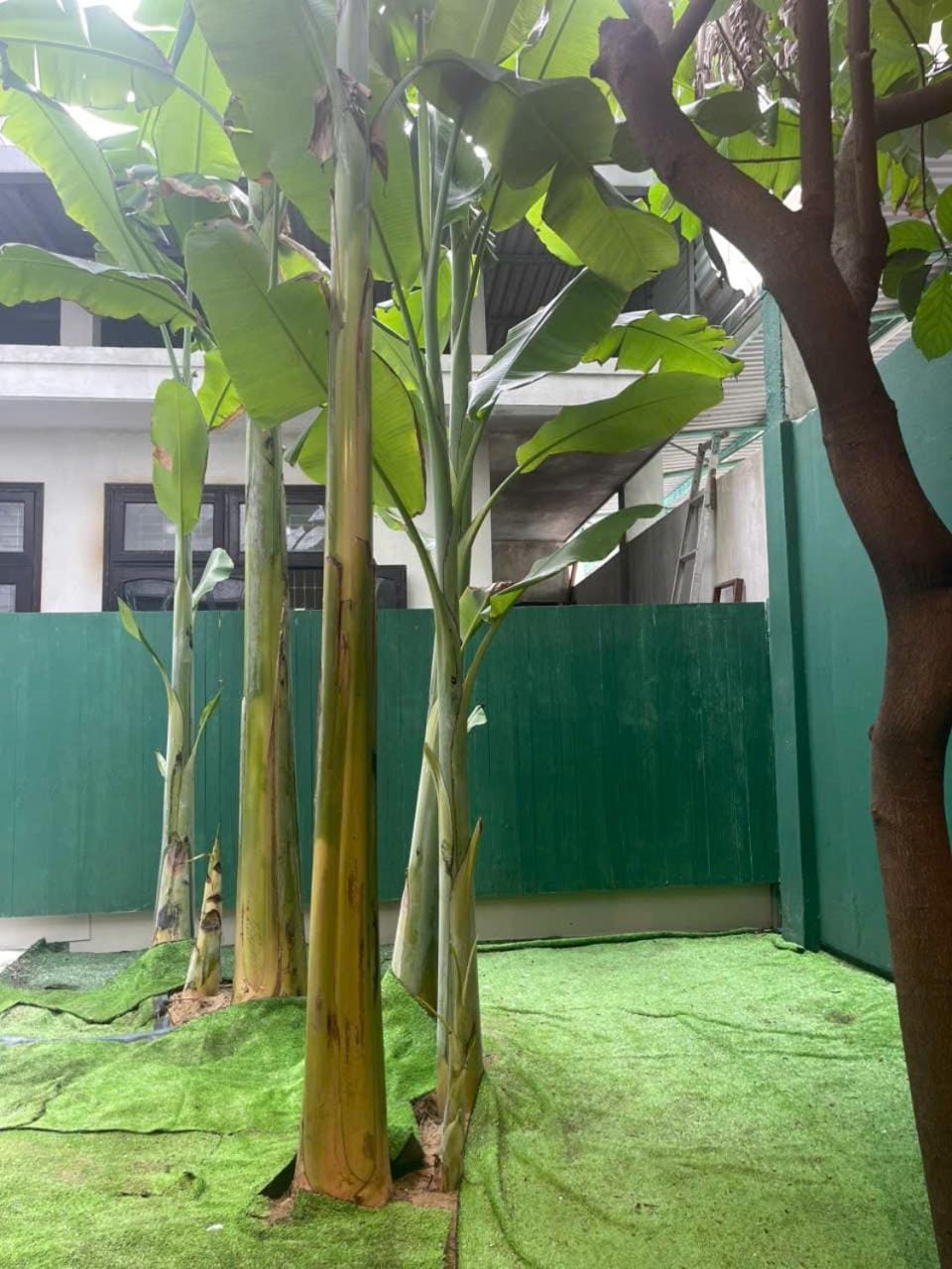 Garden, Garden view