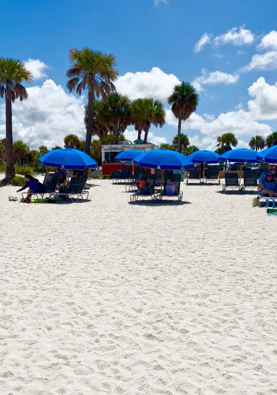 Little Blue Tarpon House House in Tarpon Springs