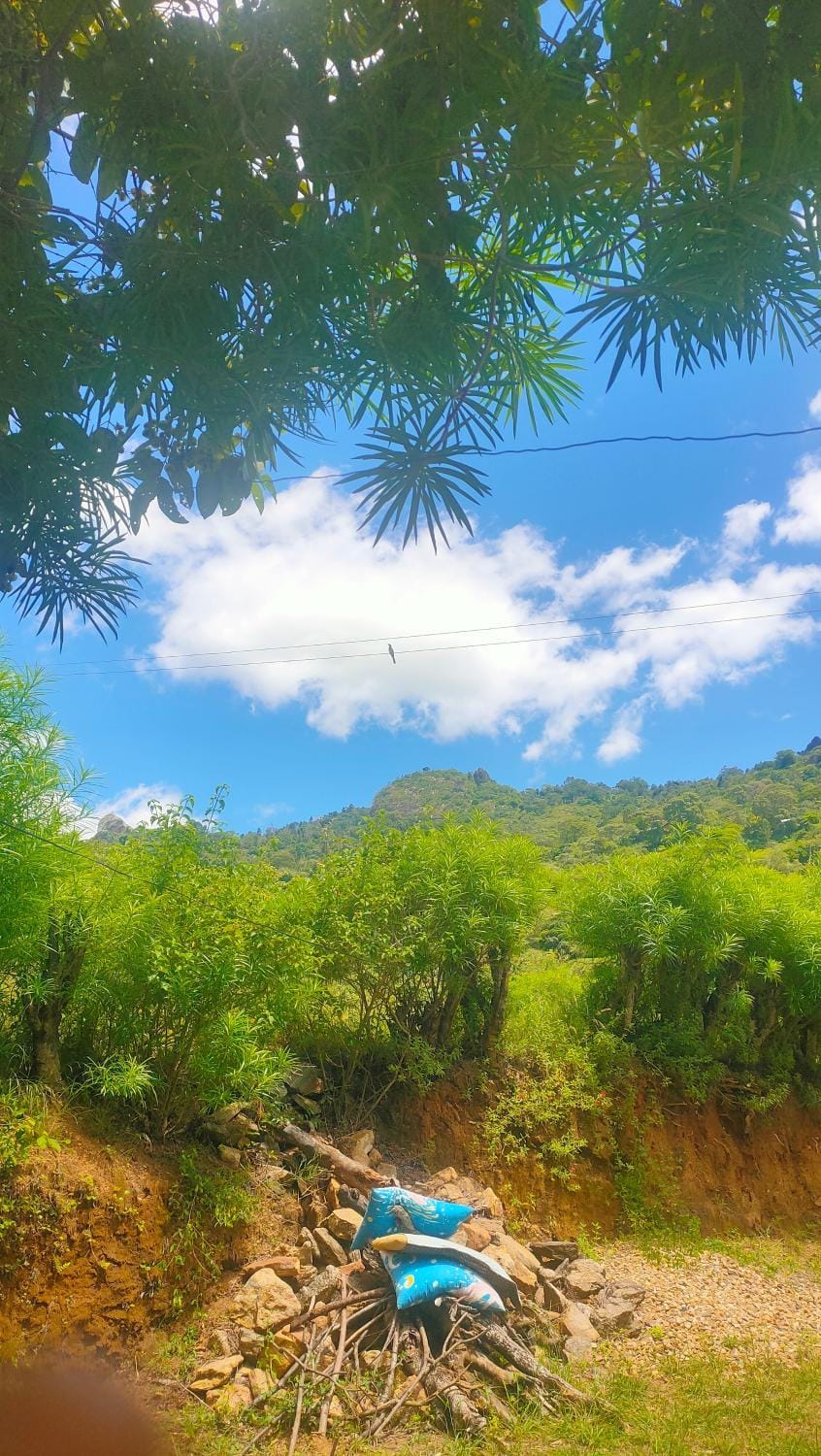 Sere n' Lukundo Park & Camping Services Campground/ 
RV Resort in Kenya