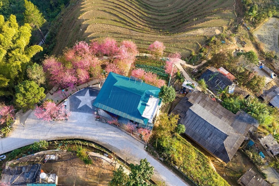 Property building, Spring, Day, Neighbourhood, Bird's eye view