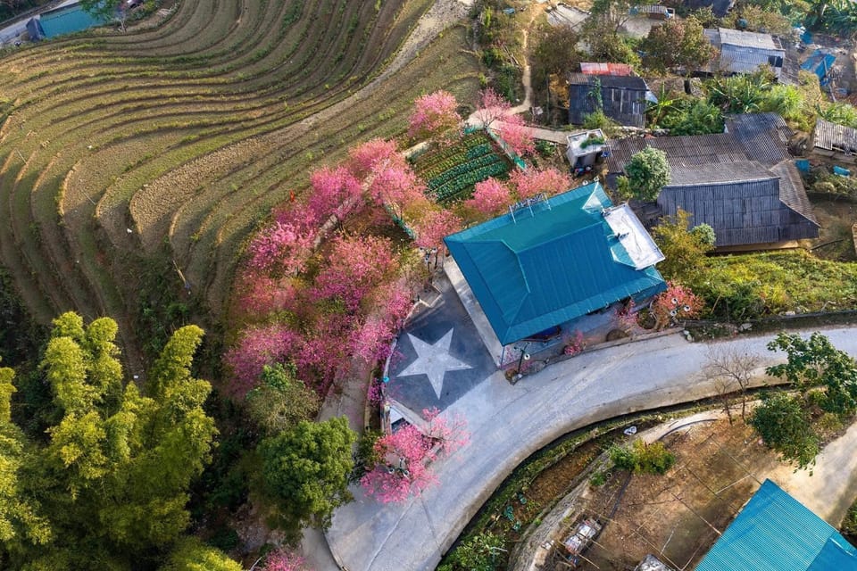 Property building, Neighbourhood, Bird's eye view
