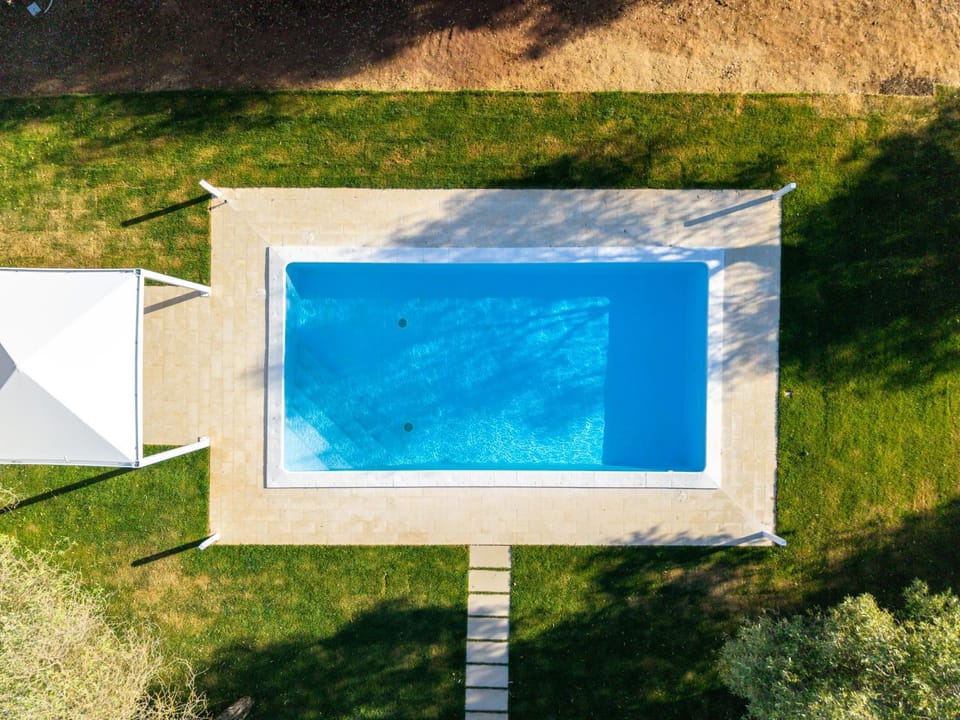 Garden, Garden, Swimming pool, Swimming pool