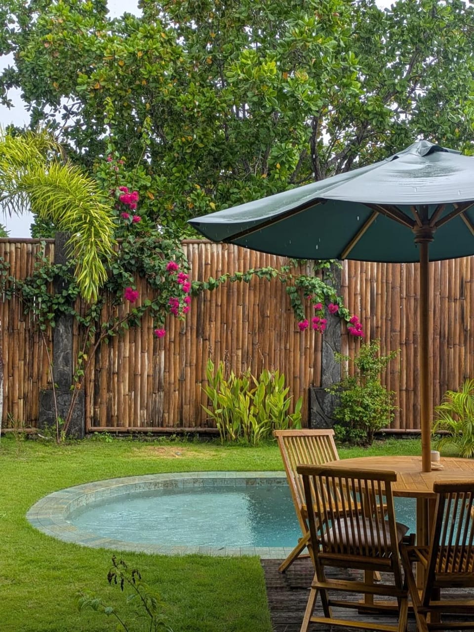 Garden, Swimming pool