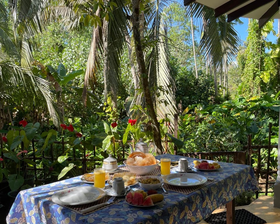 Day, Garden, Food and drinks, Food, Garden view, Breakfast