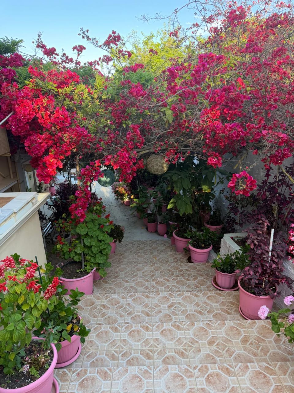 Μαργαρίτα 1 House in Fiskardo