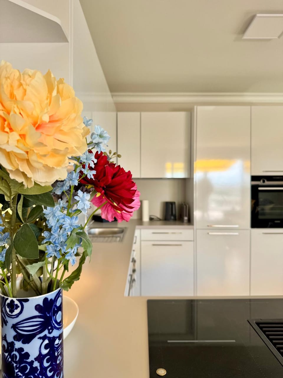 Kitchen or kitchenette, dishwasher, oven, pet friendly, stove, kitchen