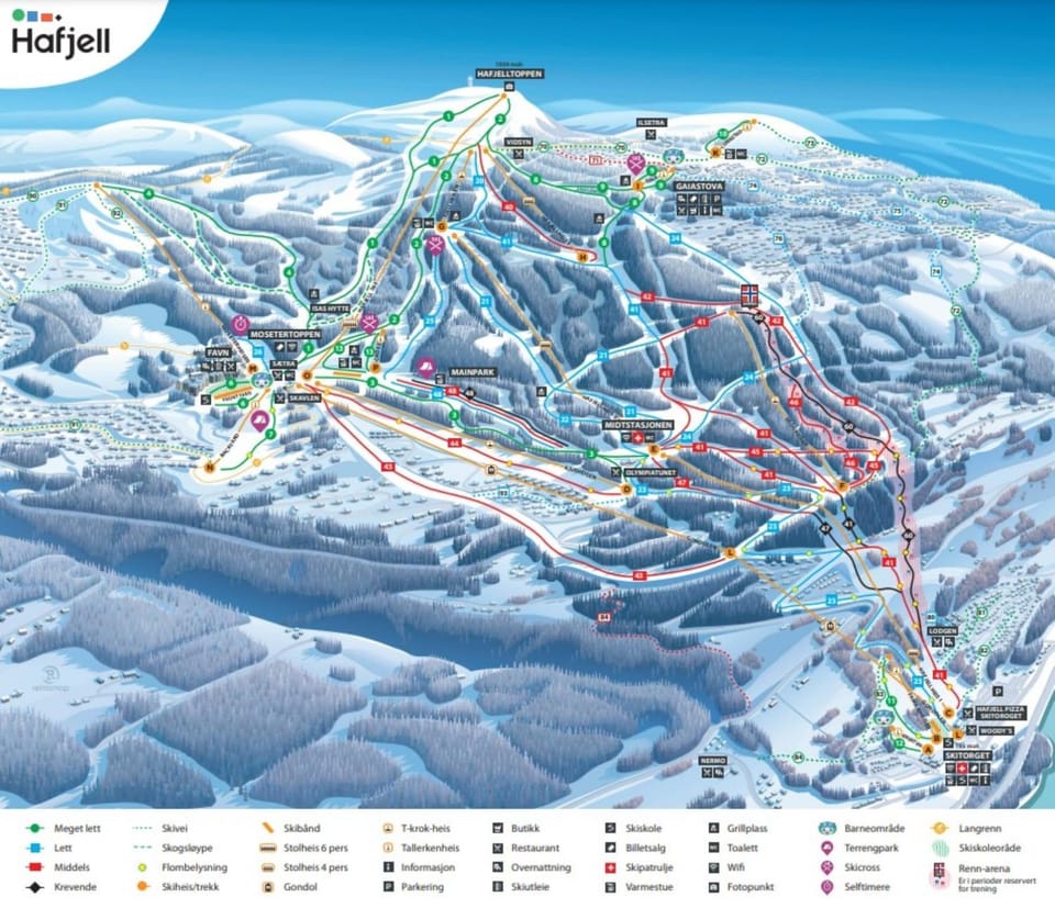 Skiing, Skiing