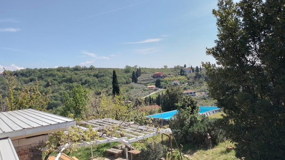 Olive Gardens Cottage above Portorož House in Slovenia