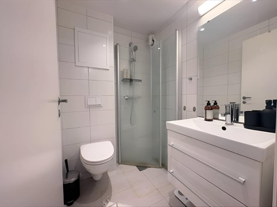 Shower, Toilet, Bathroom, towels