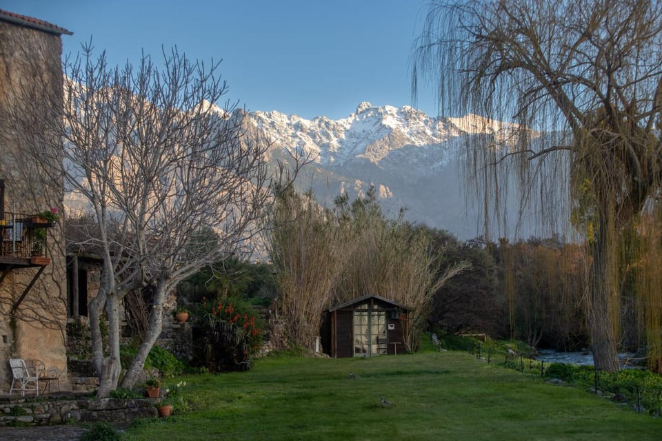 Mountain view
