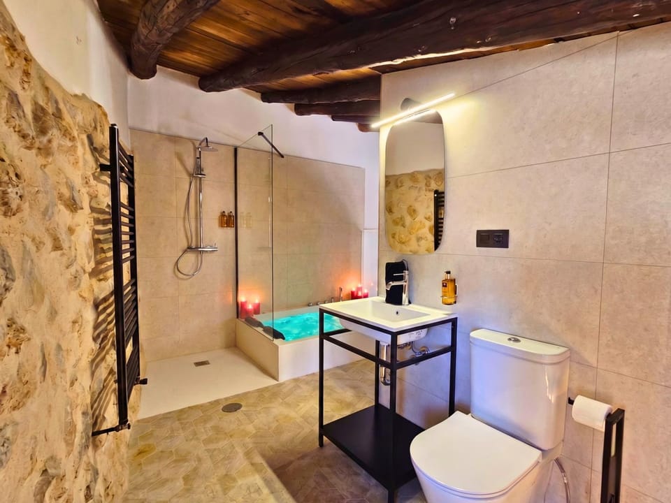 Shower, Toilet, Hot Tub, Bathroom, hair dryier