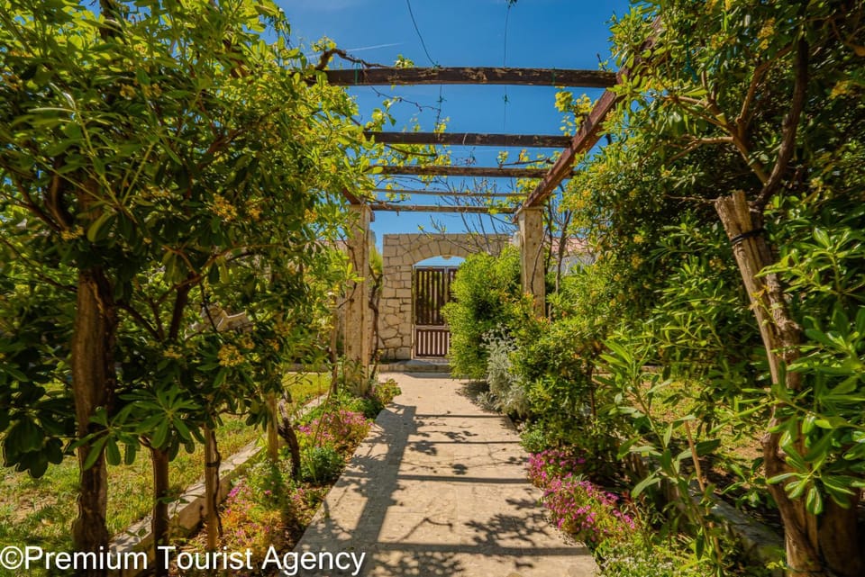 Day, Garden, Garden view