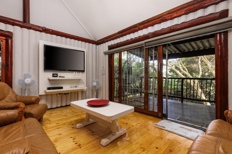 Jungle at C House in KwaZulu-Natal