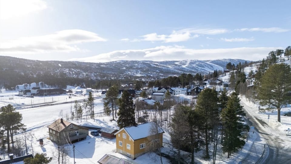 Bird's eye view, Winter