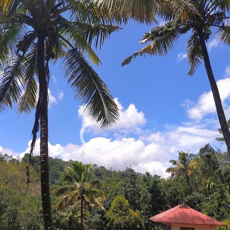 Athens Cottage Vacation rental in Kerala