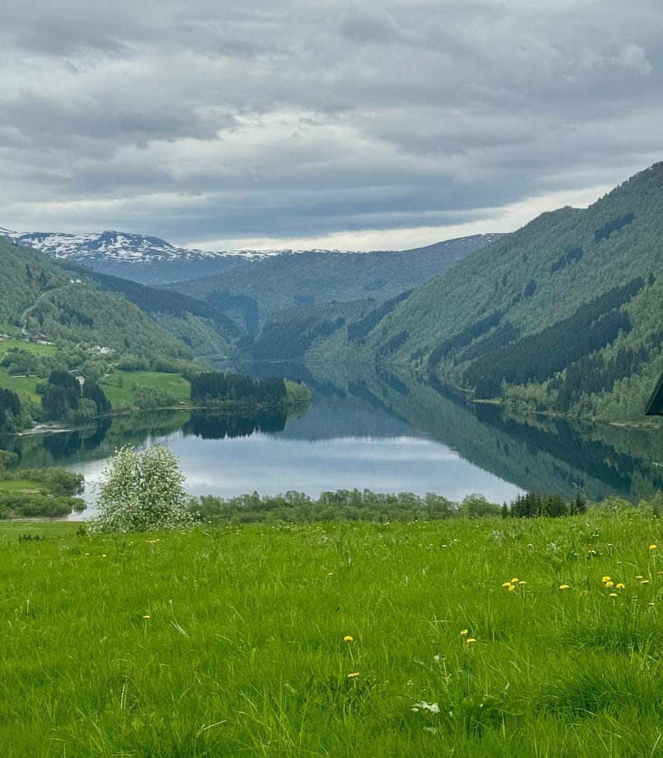 Summer, Fishing, Hiking