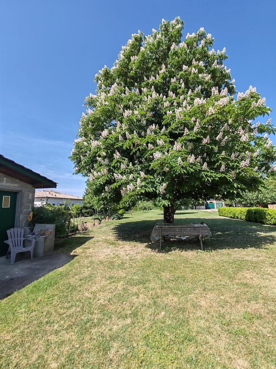 Natural landscape, Garden, Garden view