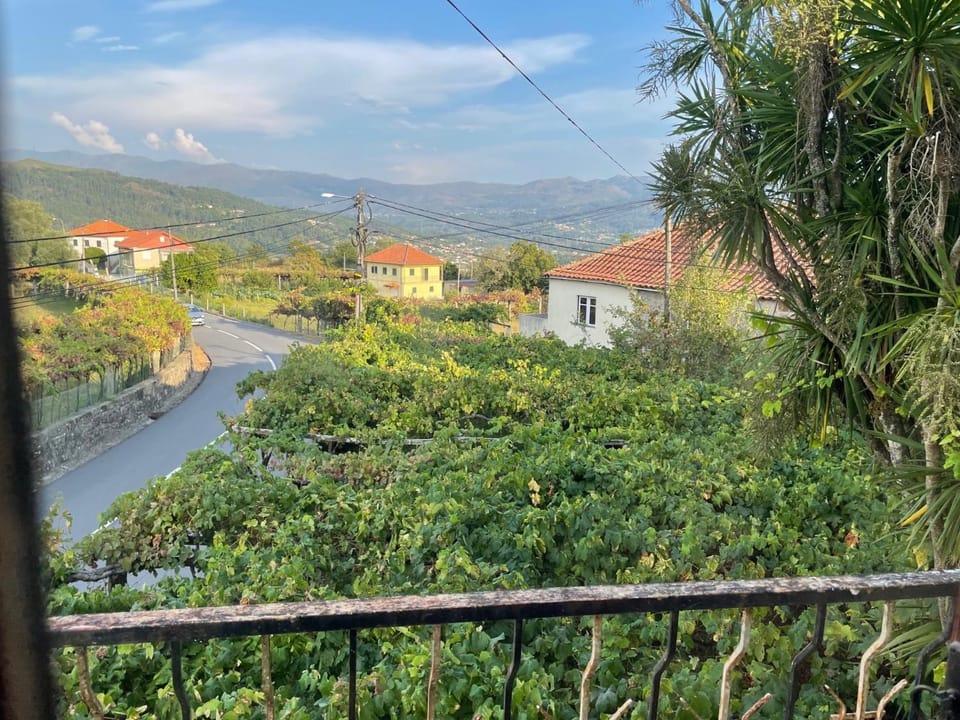 View (from property/room)