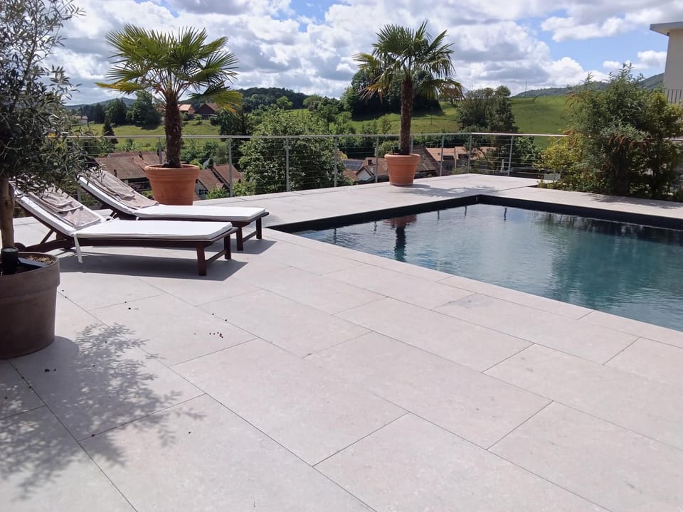 Hillfortswiss holiday inn House in Aargau, Switzerland