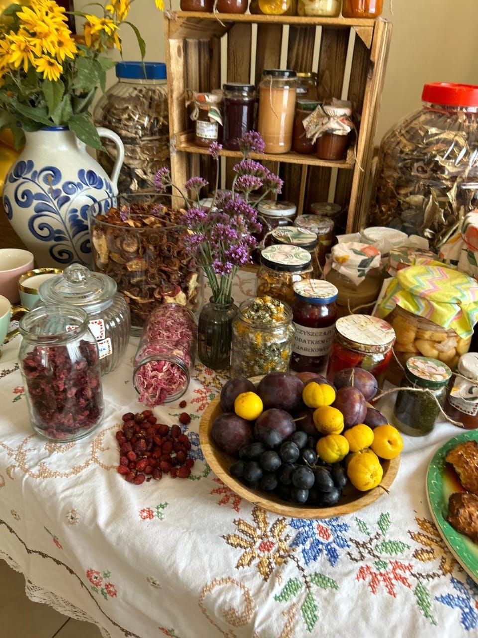 Zameczek Farm Stay in Poland