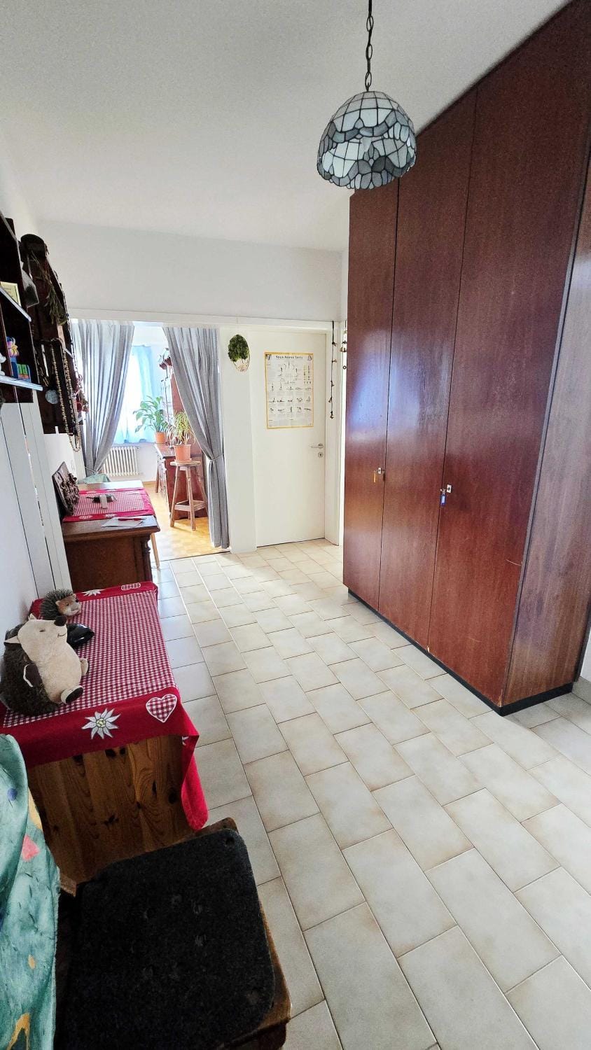 Casa Tarefa da Barbara Apartment in Ascona