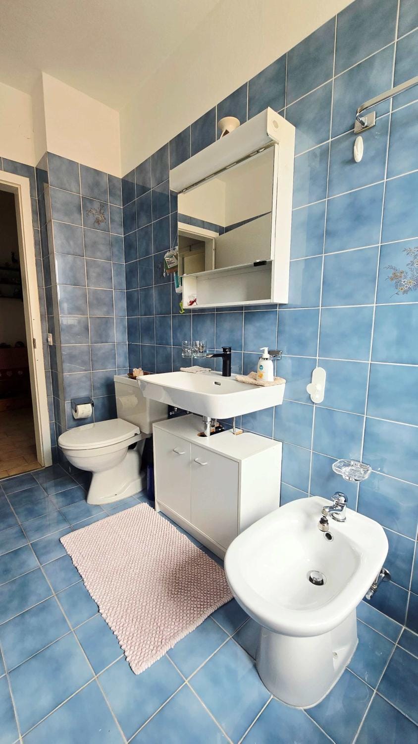 Casa Tarefa da Barbara Apartment in Ascona