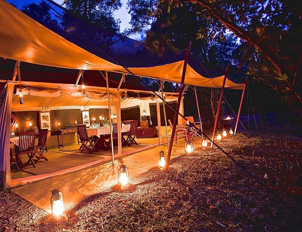 Spring, Night, Summer, Garden, Dining area, Garden view