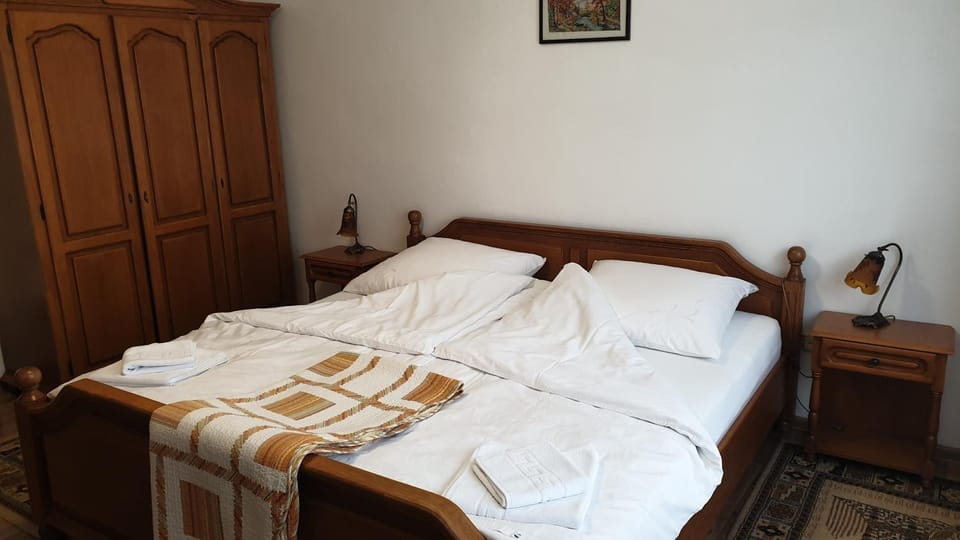 Pensiunea Iris Bed and Breakfast in Brasov