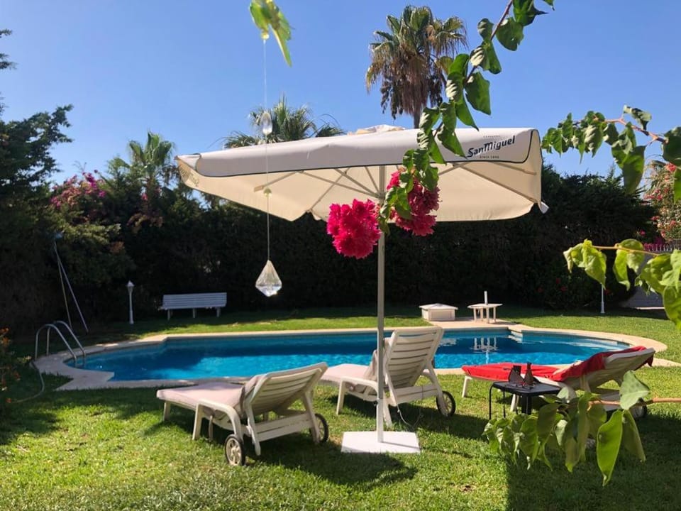 Garden, Swimming pool, sunbed