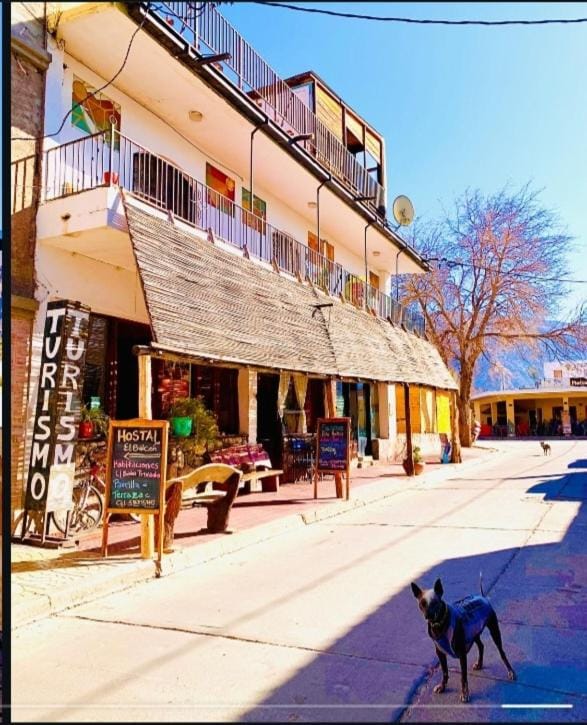 Cafayate Backpackers Hostel in Cafayate
