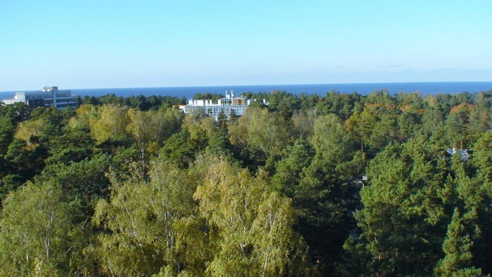 Natural landscape, Bird's eye view, Sea view