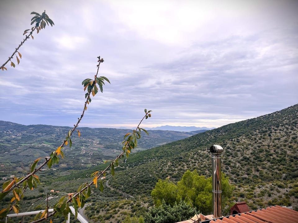 Natural landscape