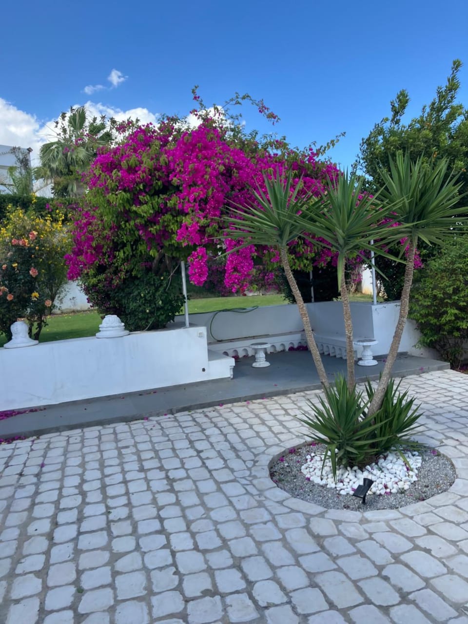 Garden view