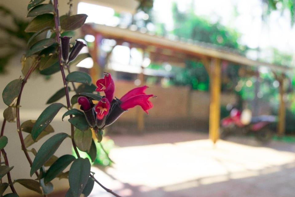 Duplex Macuco Chalet in Puerto Iguazú