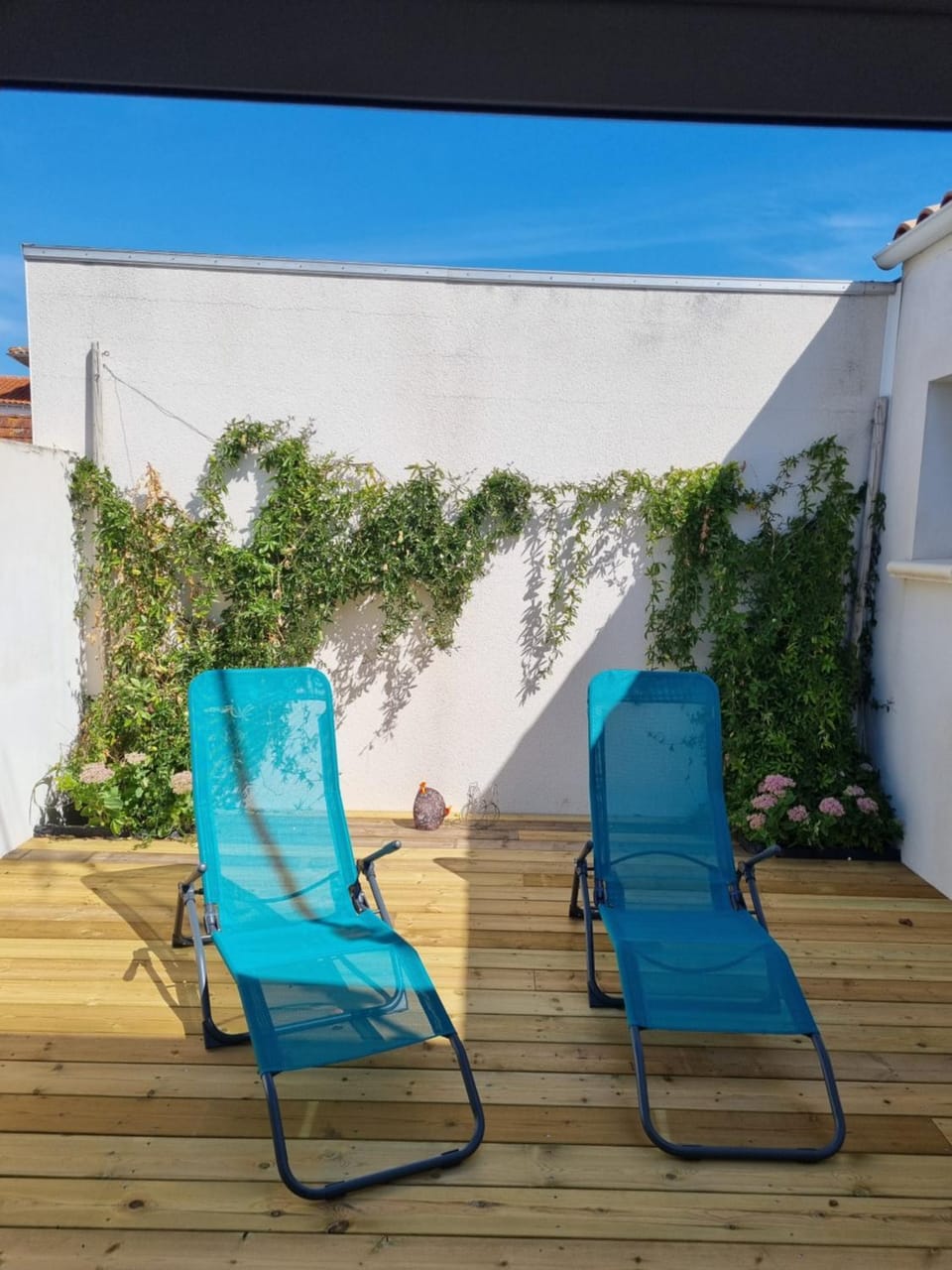 Patio, Balcony/Terrace