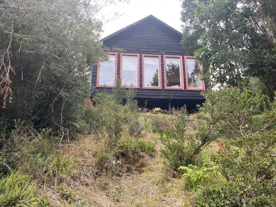 Quiet Queilén House in Los Lagos, Chile