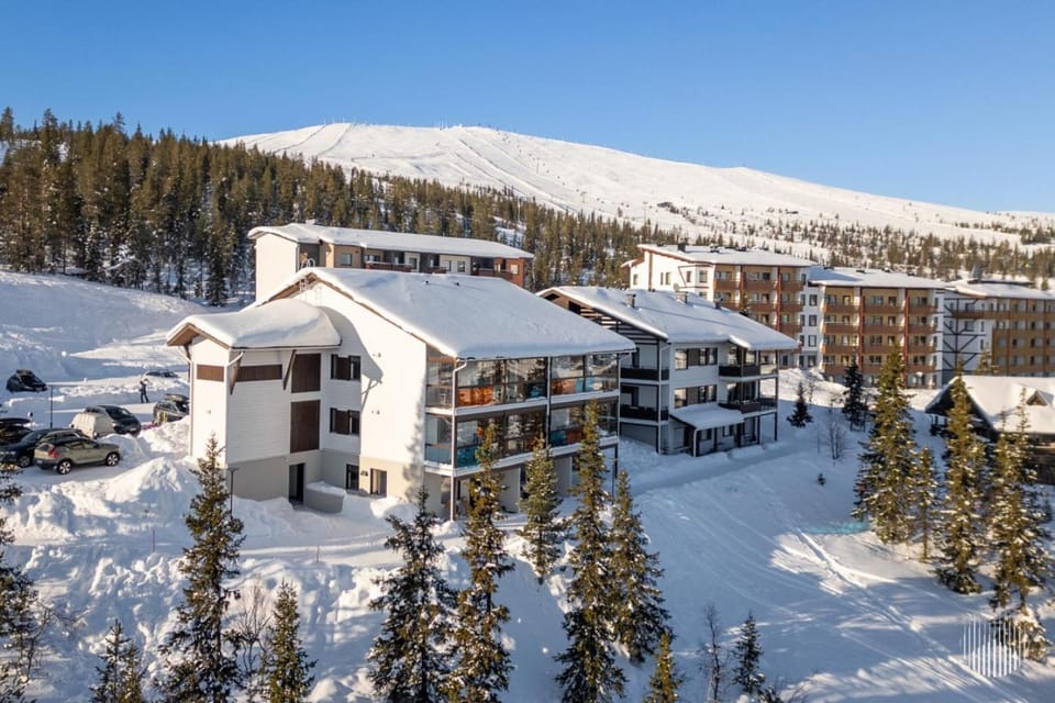 Winter, Mountain view