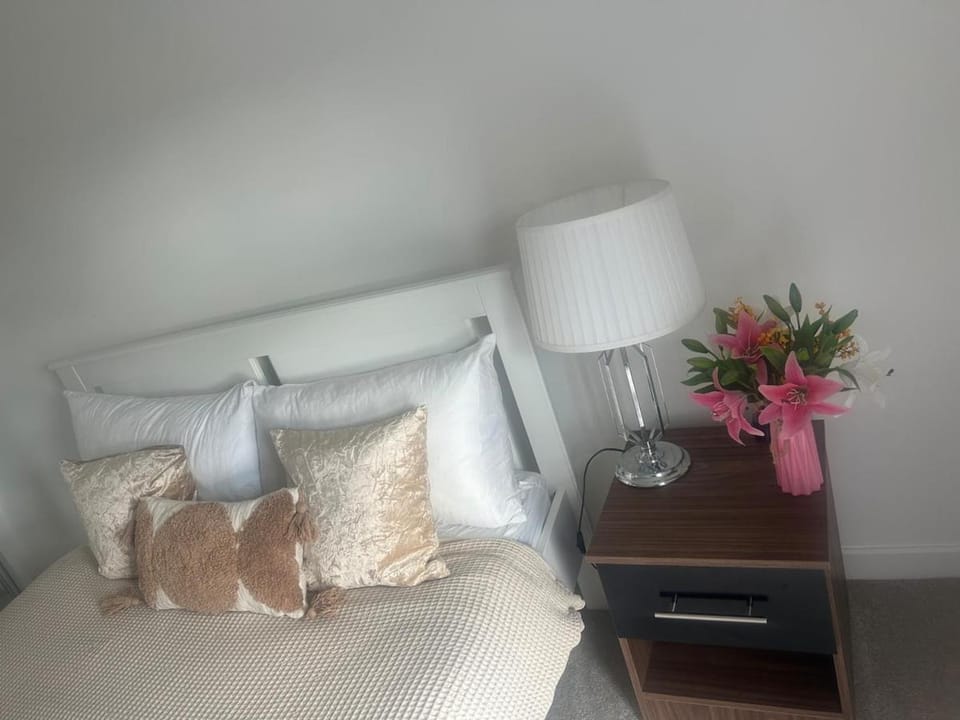 Home Stay in London Acton Apartment in London Borough of Ealing