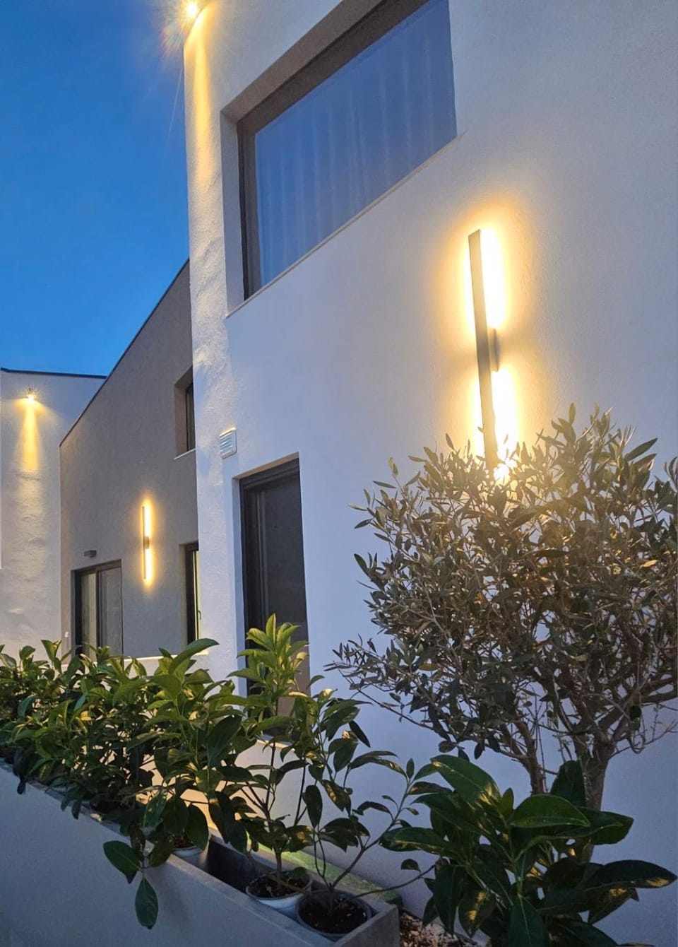 Property building, Night, Garden