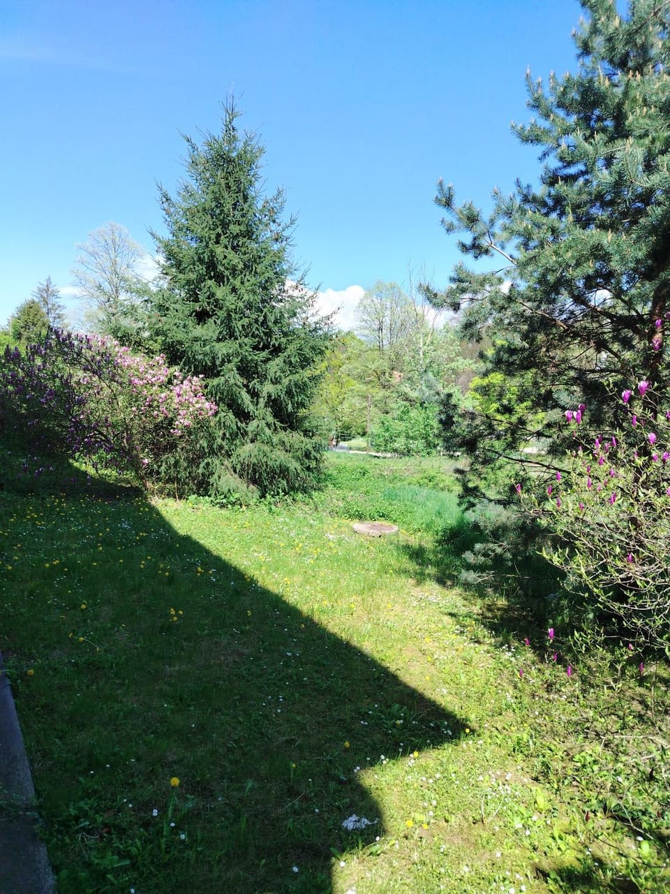Apartman Zaklina Apartment in Serbia