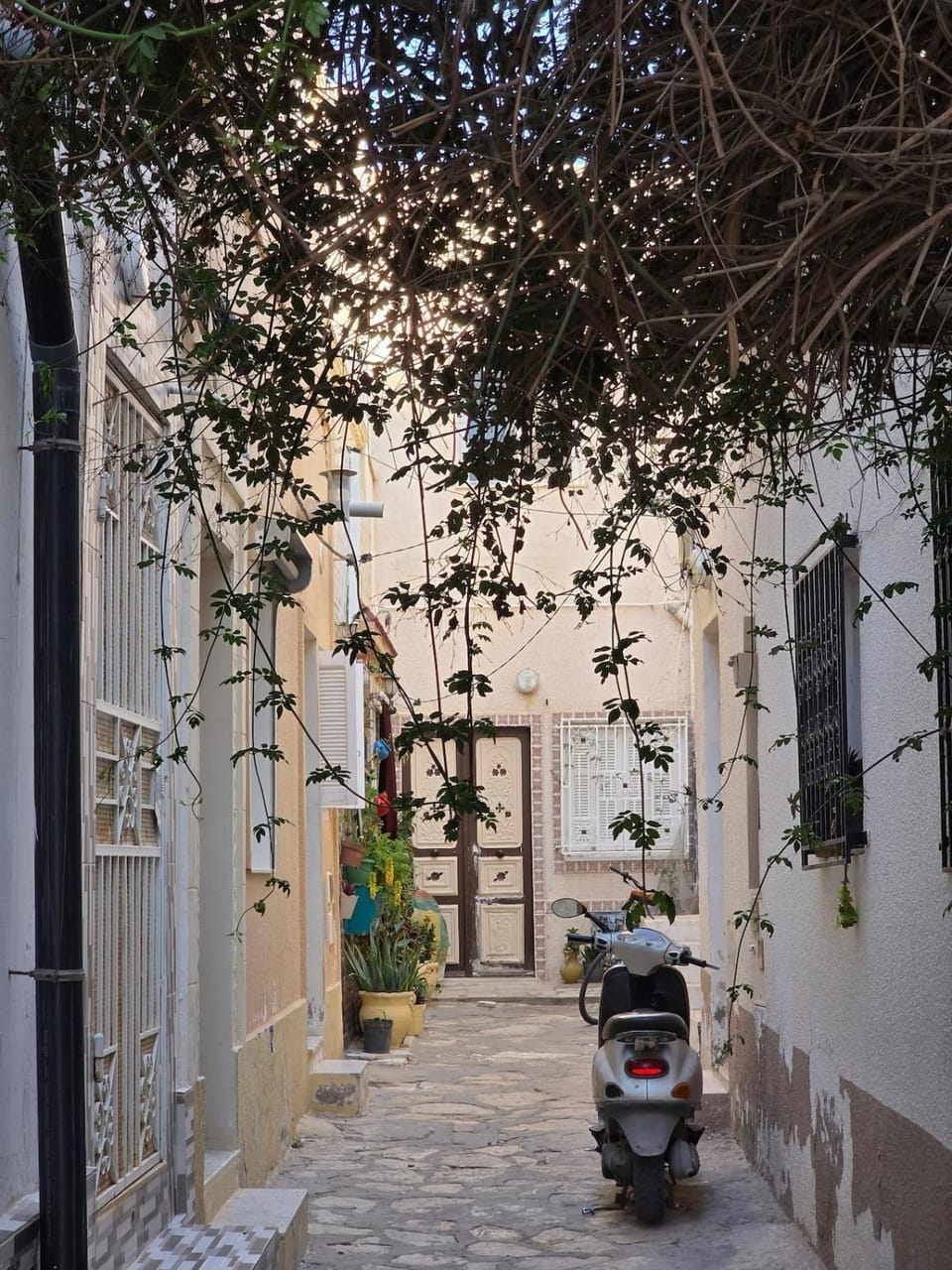 Dar Julia Typical Arabesque House House in Tunisia