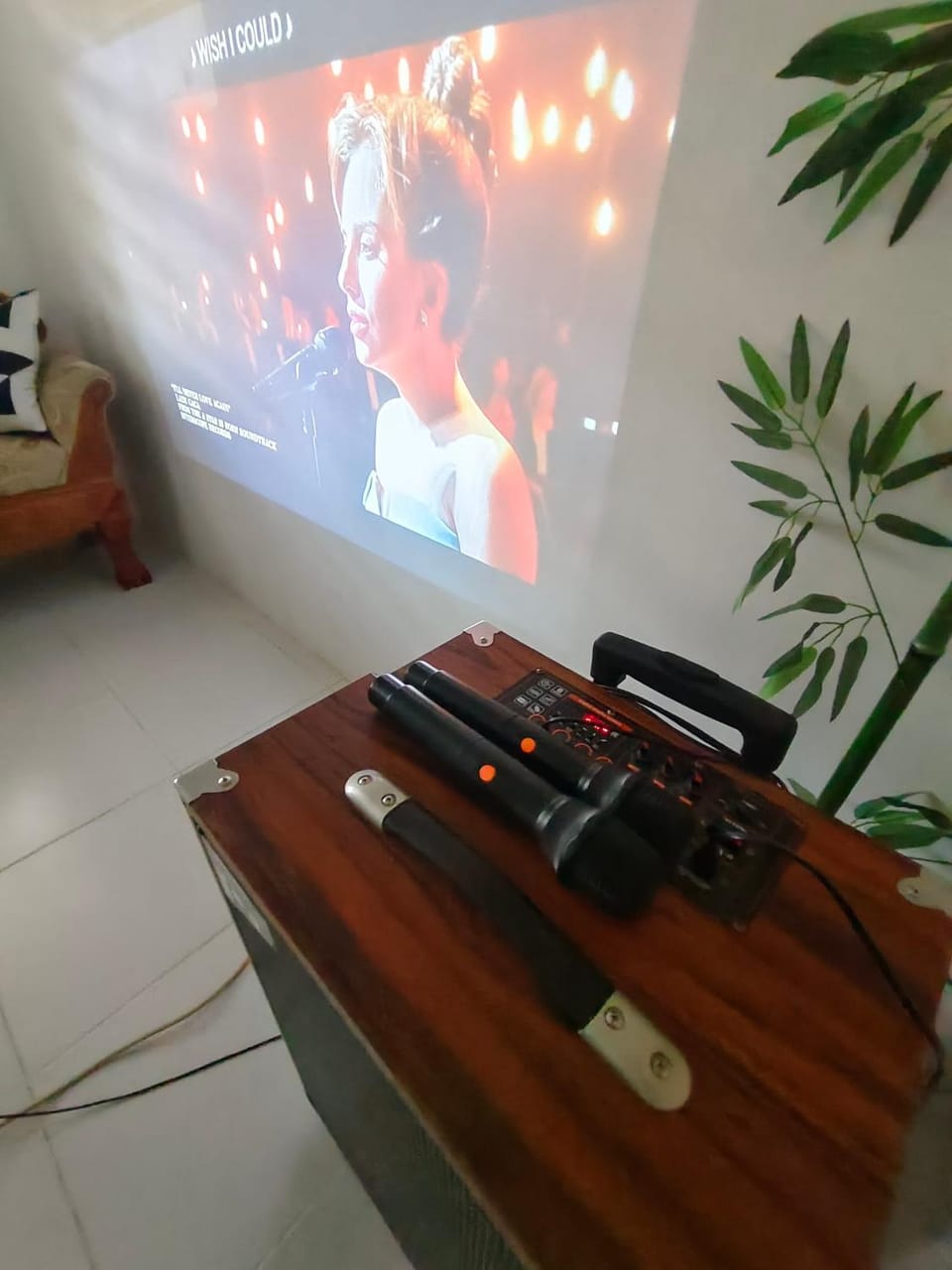 Karaoke, TV and multimedia, Evening entertainment