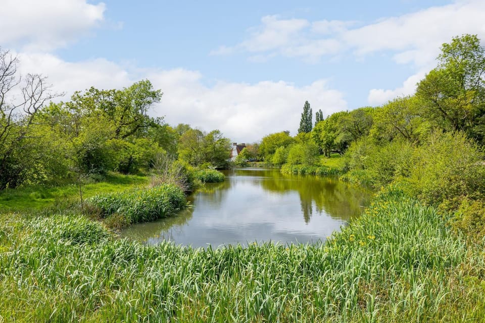 Lake view