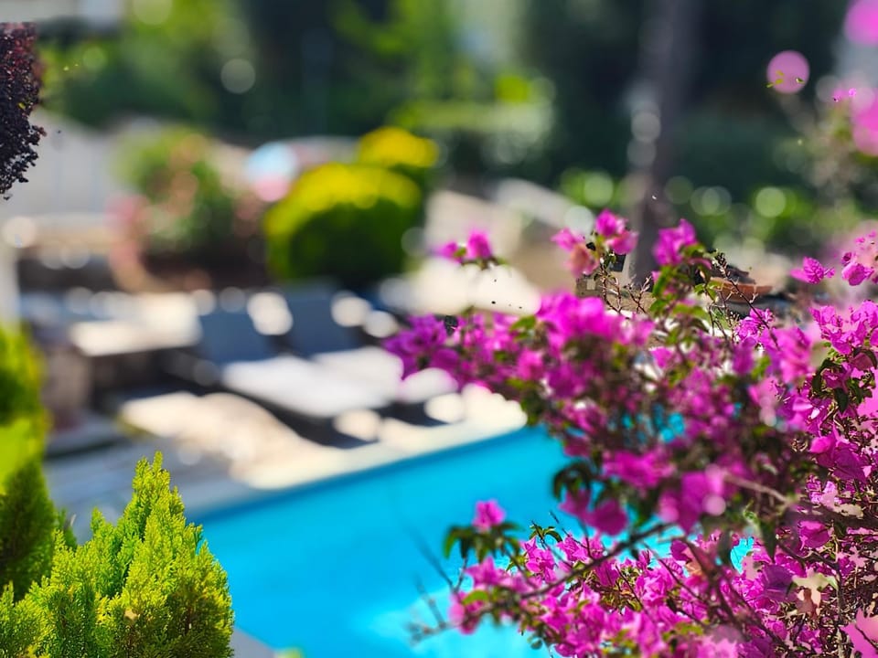 Day, Summer, View (from property/room), Decorative detail, Garden view, Pool view, Swimming pool, Seasons