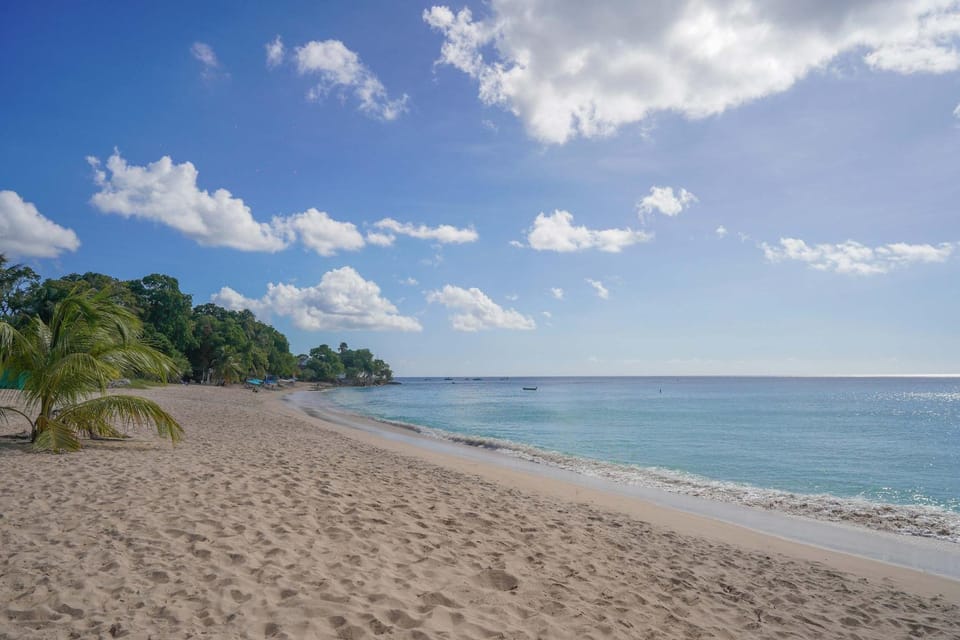 Elegant NEW 3BR Villa with Pool Walk to Beach House in Saint James
